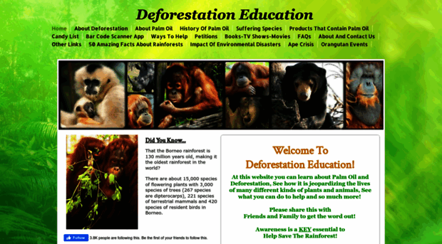 deforestationeducation.com