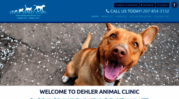 dehleranimalclinic.com