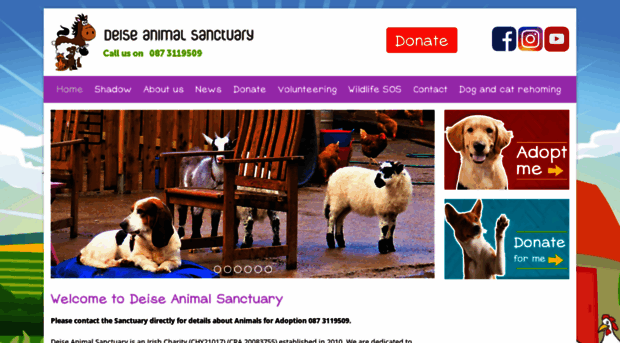 deiseanimalsanctuary.ie