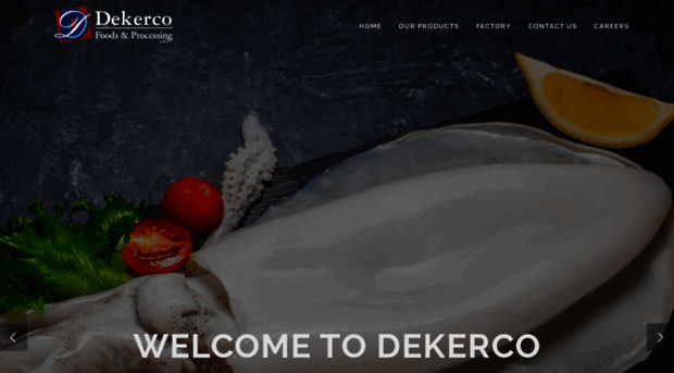 dekerco.com.lb