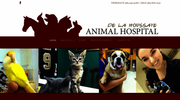 delahoussayeanimalhospital.com