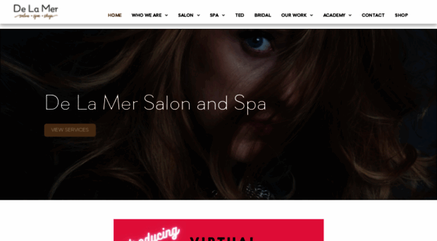 delamersalon.com