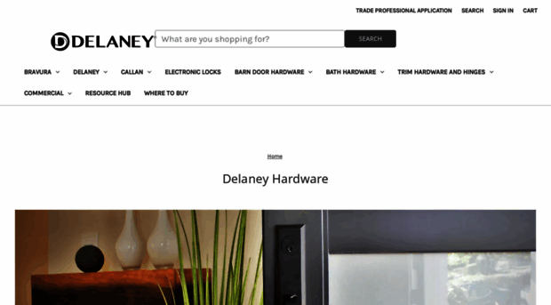 delaneyhardware.com