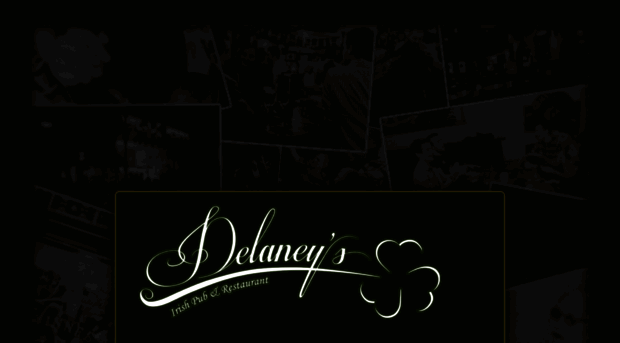 delaneys.be