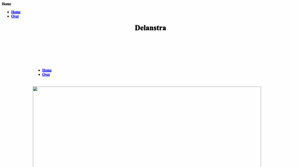 delanstra.com