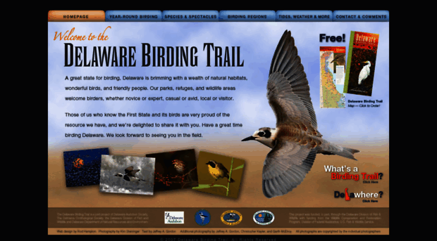 delawarebirdingtrail.com