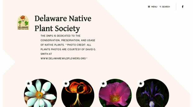 delawarenativeplants.org