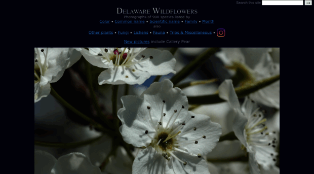 delawarewildflowers.org