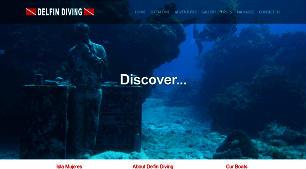 delfindiving.net