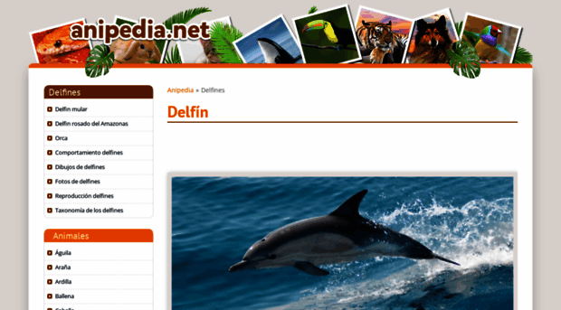 delfines.anipedia.net