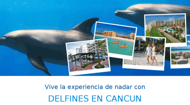 delfinescancun.com.mx