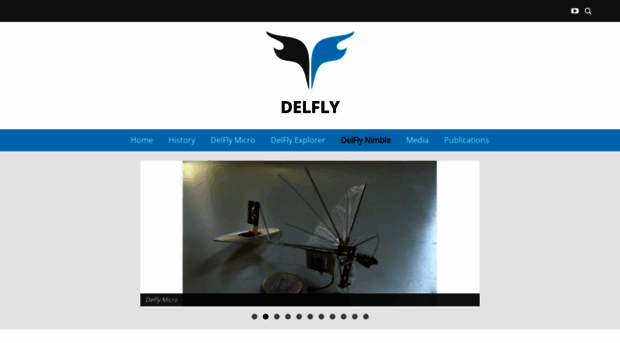 delfly.nl