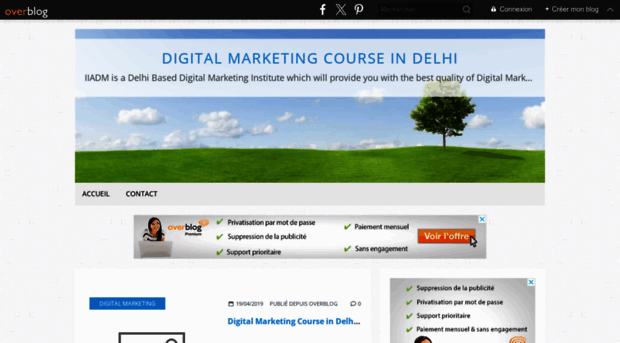 delhidigitalmarketingcourse.over-blog.com