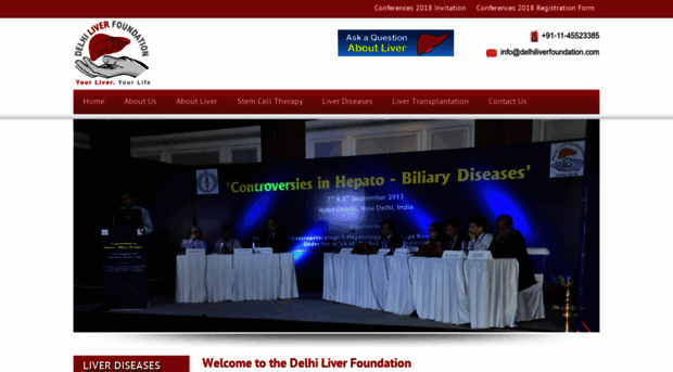 delhiliverfoundation.com