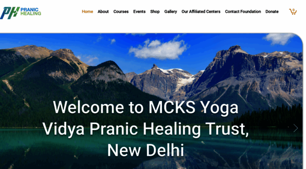 delhipranichealing.com