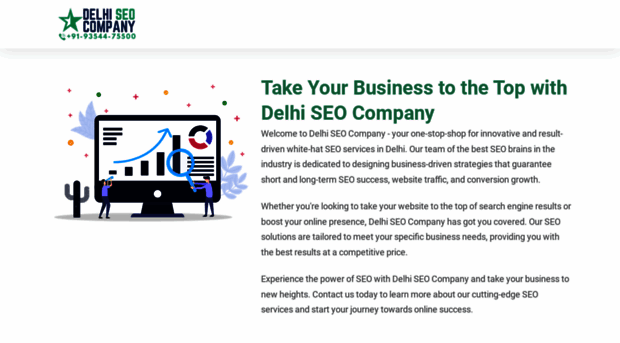 delhiseocompany.com