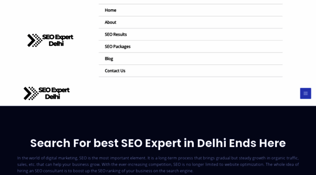 delhiseoexpert.in