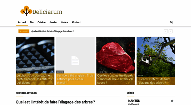 deliciarum.info