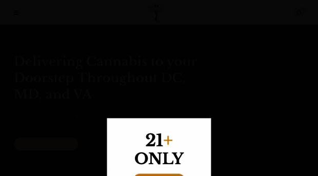 deliveryindmv.com