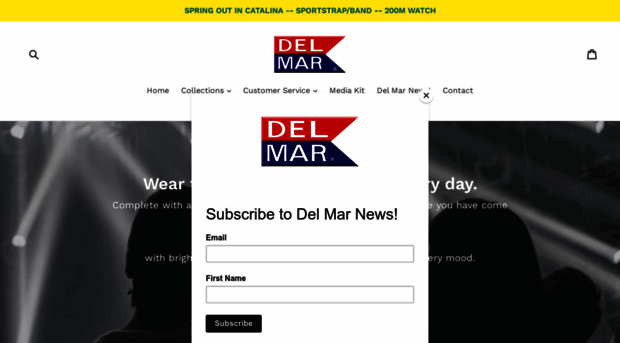 delmarwatchstore.com