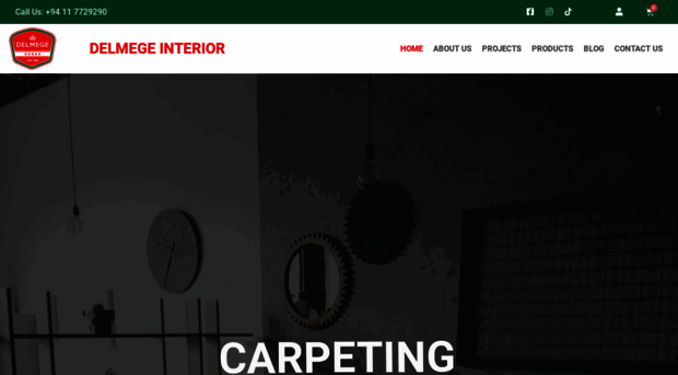 delmegeinterior.com