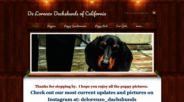 delorenzodachshund.com