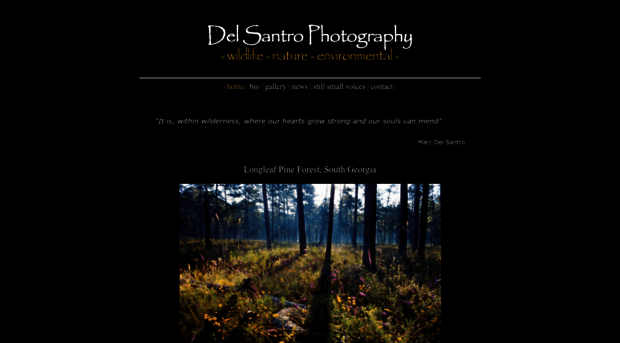 delsantrophotography.com