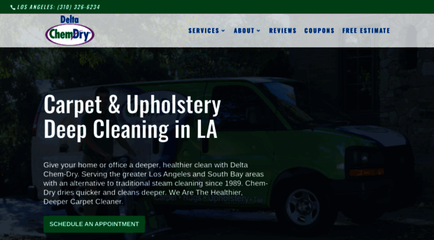 deltachemdrycarpetcleaning.com