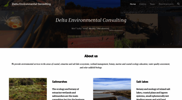 deltaenvironmental.com.au