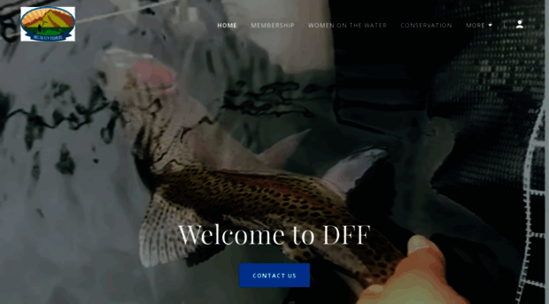 deltaflyfishers.com