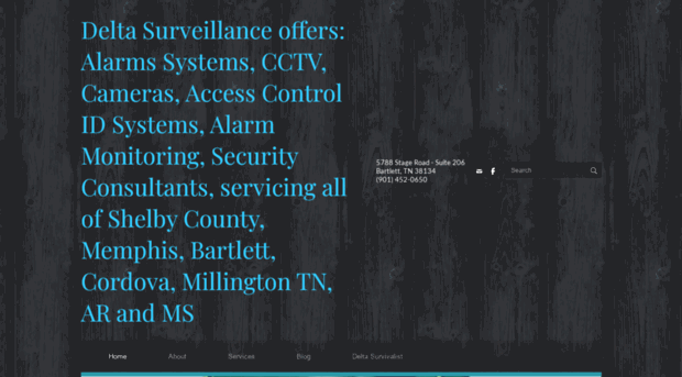 deltasurveillance.com