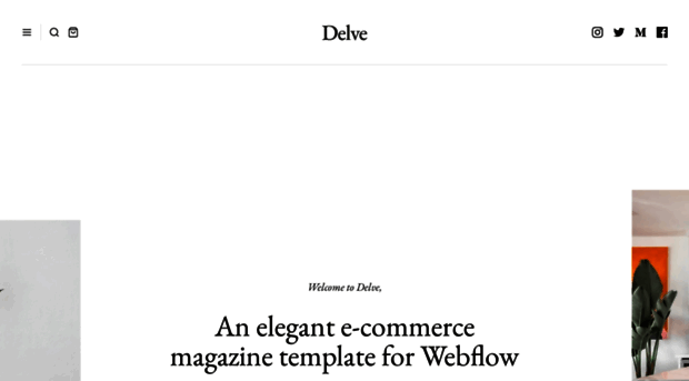 delve-template.webflow.io