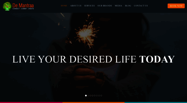 demantraa.com