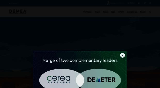 demea-si.com