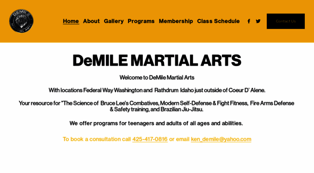 demilemartialarts.com