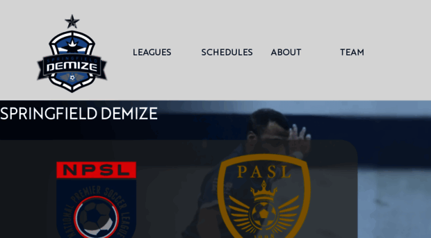 demizesoccer.com