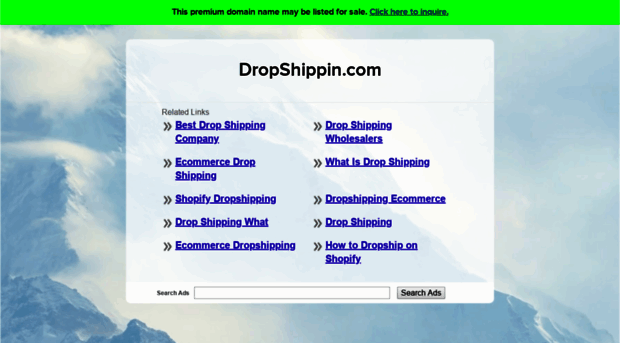 demo.dropshippin.com