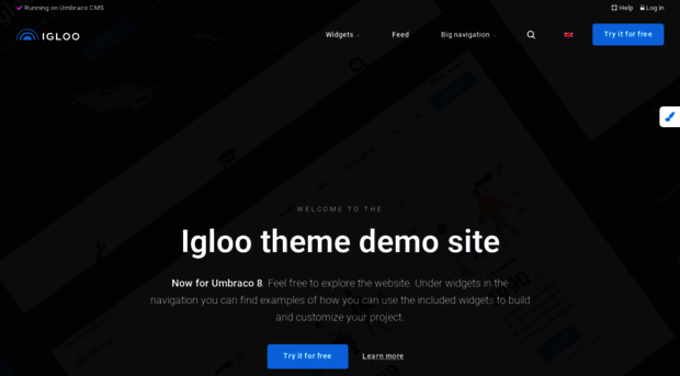 demo.iglootheme.com