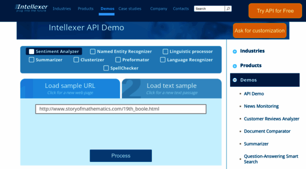 demo.intellexer.com