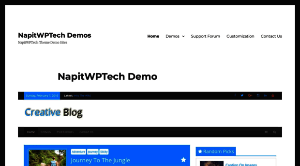 demo.napitwptech.com