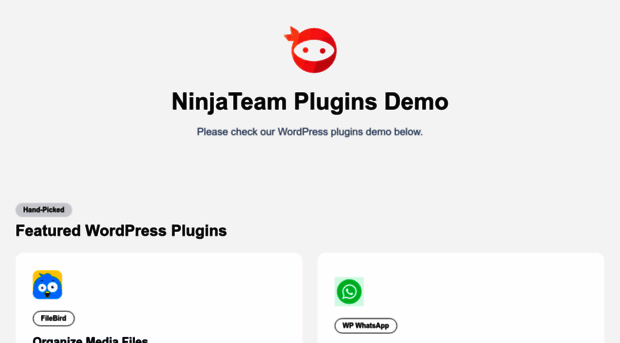 demo.ninjateam.org