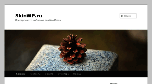 demo.skinwp.ru
