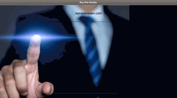demo.wpnewbiedev.com