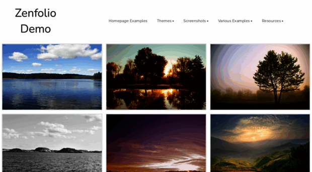 demo.zenfolio.com
