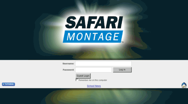 demo3.safarimontage.com