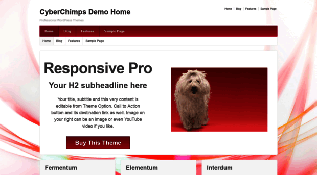 demos.cyberchimps.com