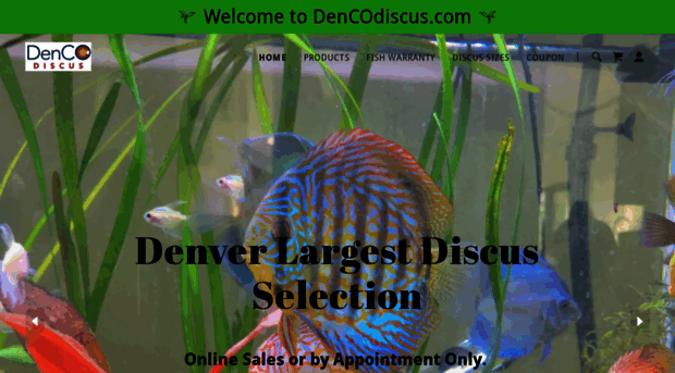 dencodiscus.com