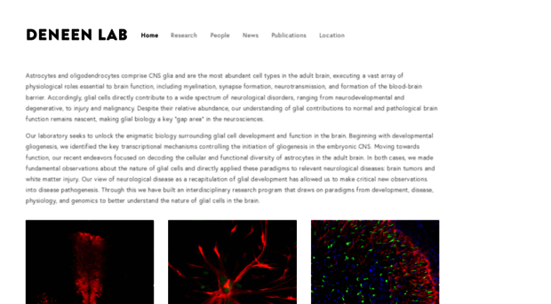 deneenlab.org