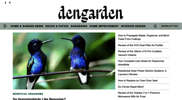 dengarden.com