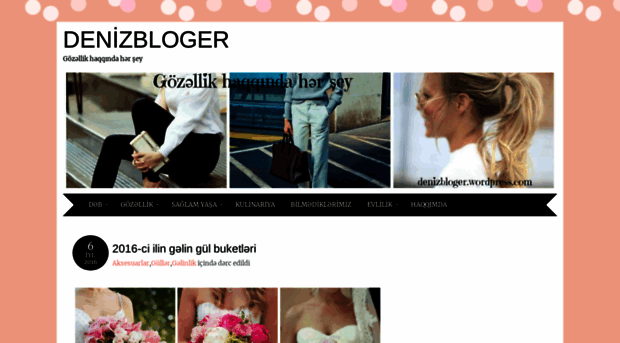 denizbloger.wordpress.com